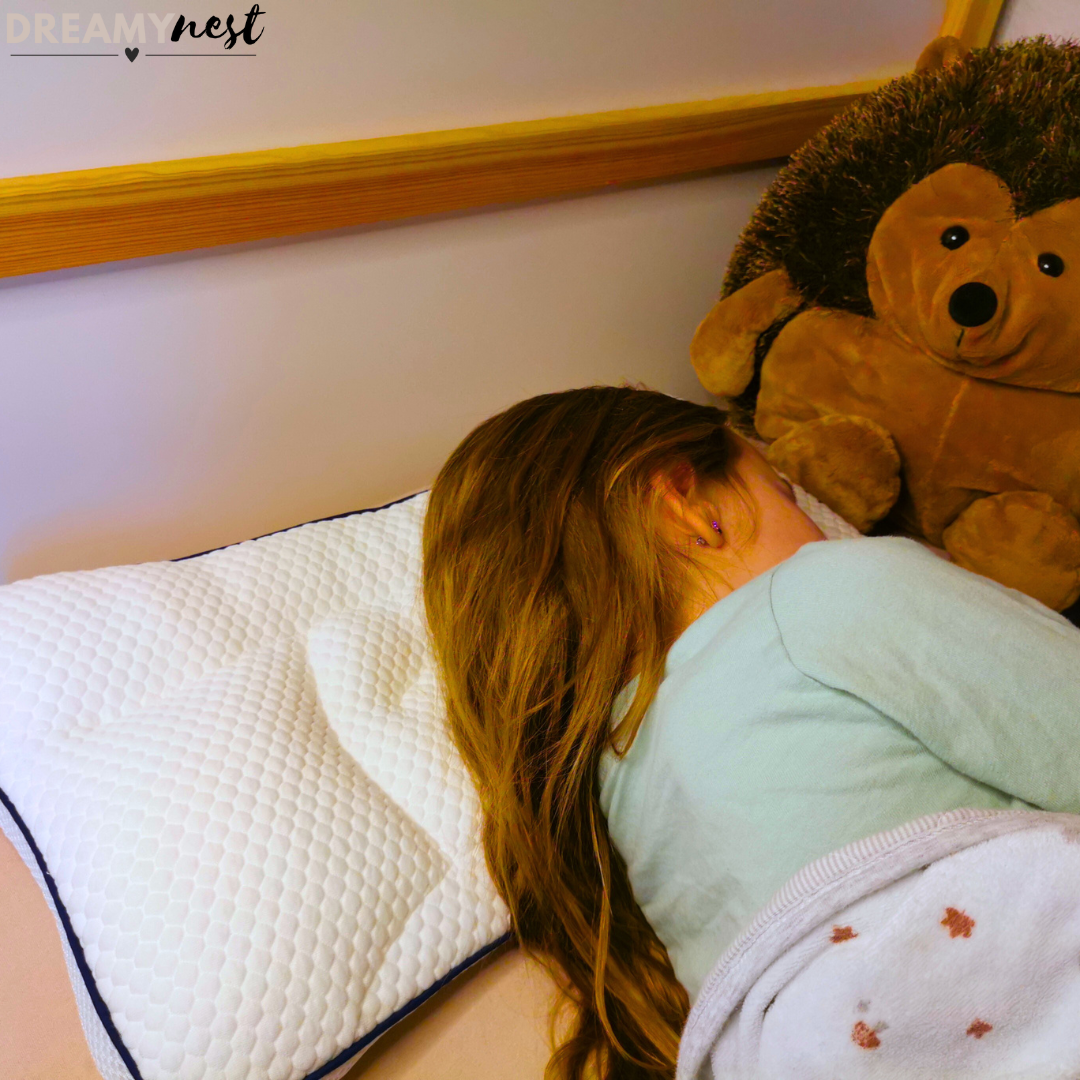 CozyNest Comfort