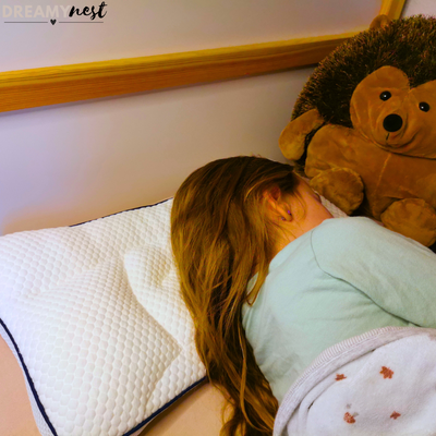 CozyNest Comfort