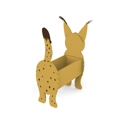 Luchs Blumenpflanze Topf