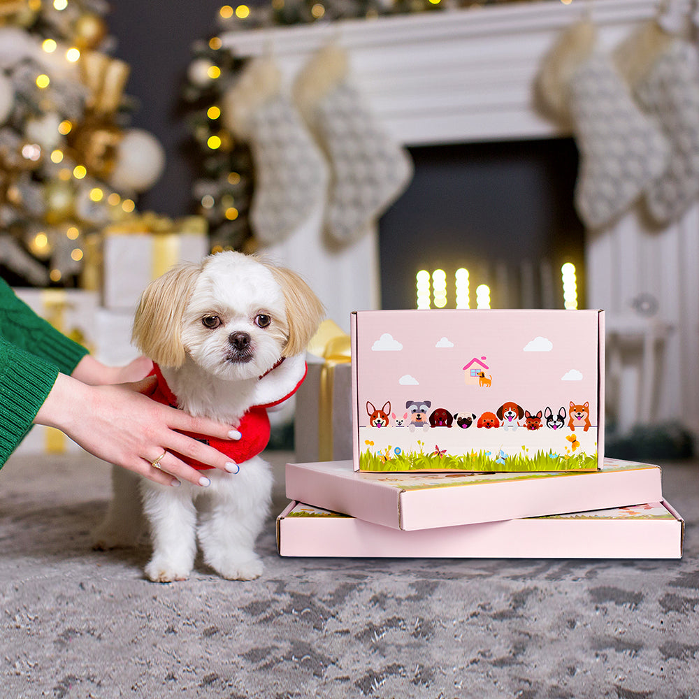 Blumentopf mit weißer Katze