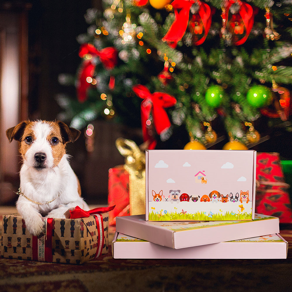 Blauer Katzen-Blumentopf