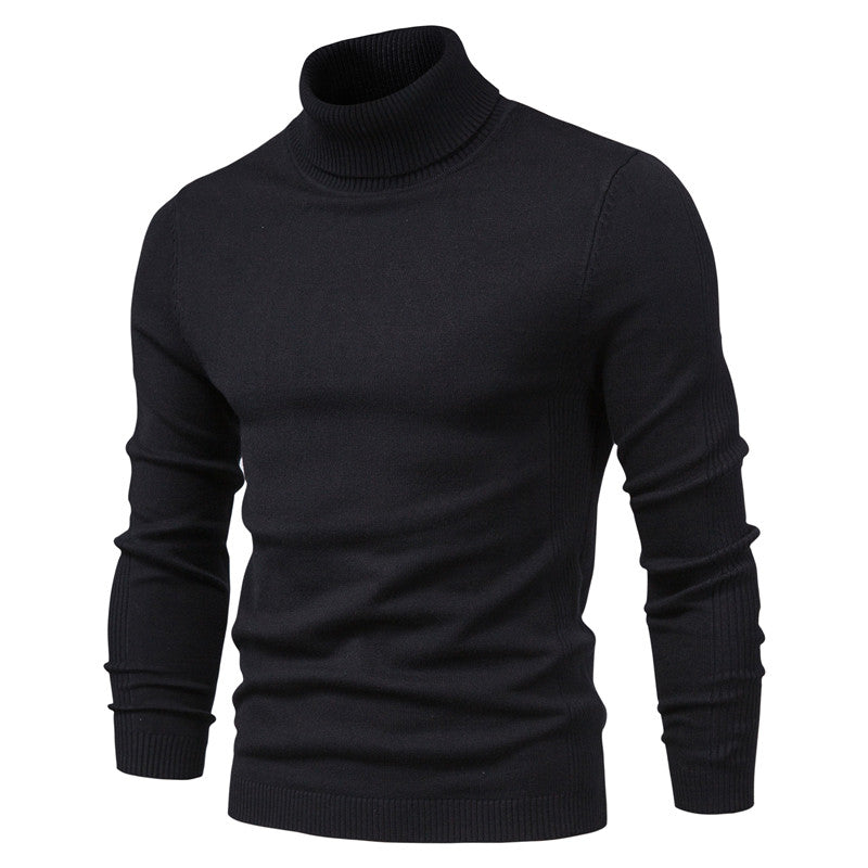 Roderich | Rollkragenpullover Herren | Schwarz Pullover