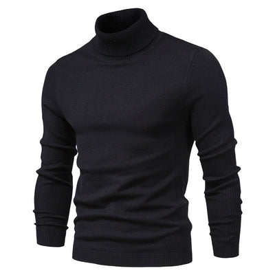 Roderich | Rollkragenpullover Herren | Schwarz Pullover
